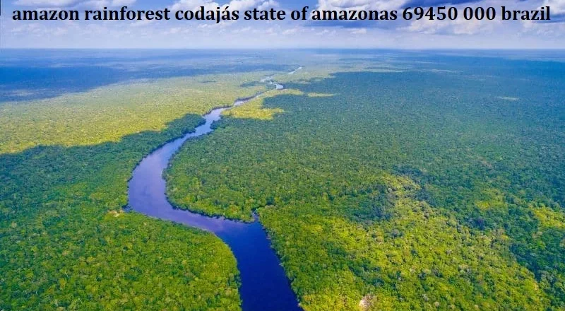 Amazon Rainforest Codajás State Of Amazonas 69450 000 Brazil