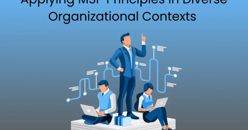 Applying MSP Principles in Diverse Organizational Contexts